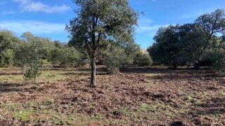  Terrain � vendre 753 m�