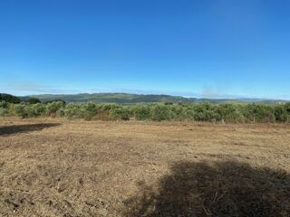  Terrain � vendre 310 m�