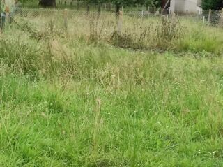  Terrain  vendre 824 m