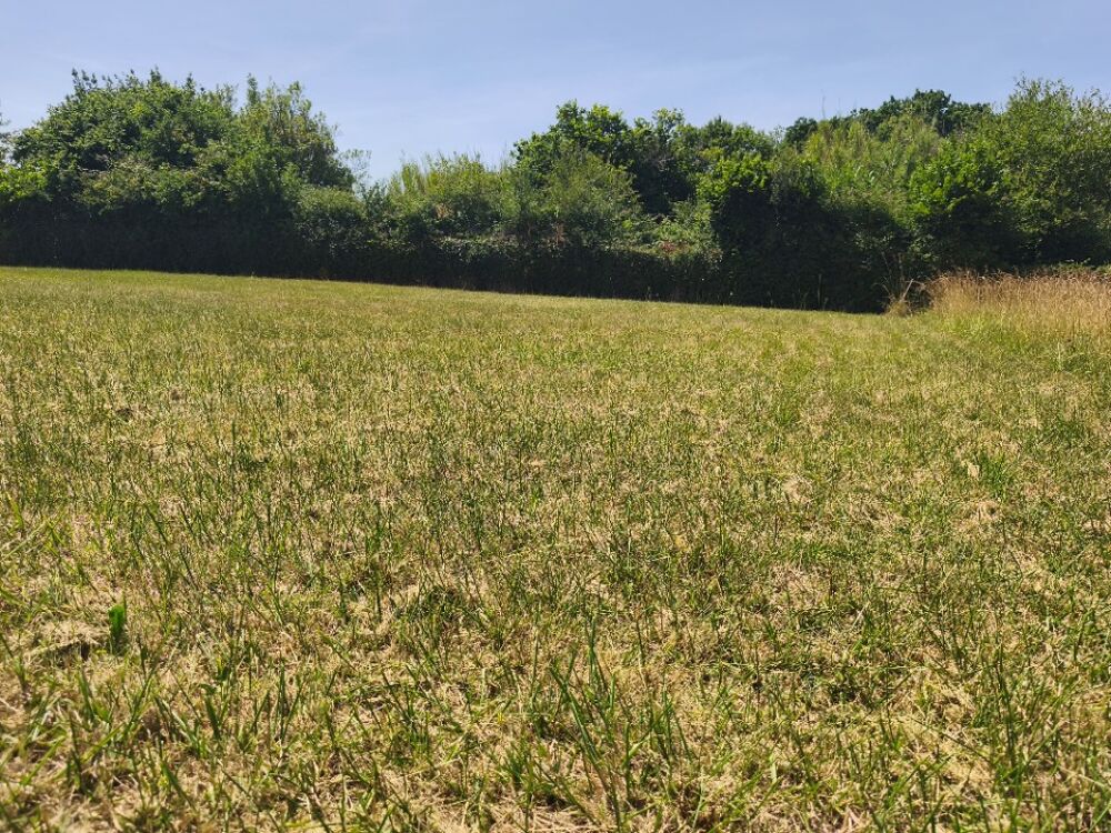 vente Terrain - 980 m² Chaillevette (17890)