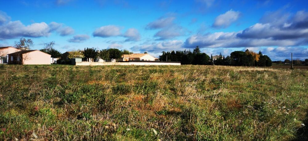 vente Maison - 4 pièce(s) - 90 m² Gaillac (81600)