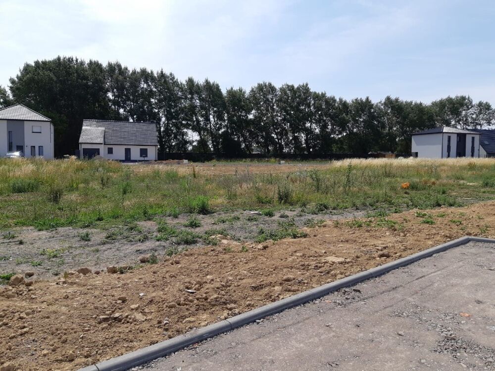 vente Terrain - 429 m² Wingles (62410)