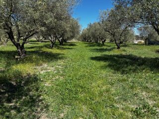  Terrain 2500 m² Vagnas