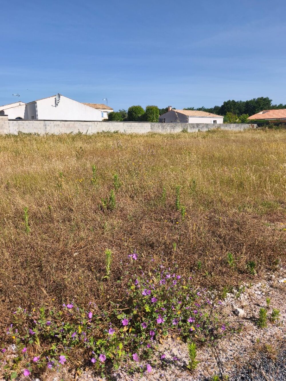 vente Maison - 4 pièce(s) - 85 m² Vaux-sur-Mer (17640)