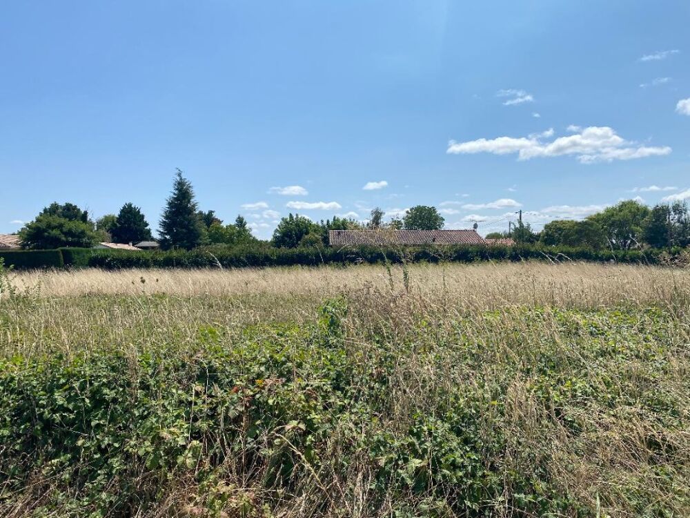 vente Terrain - 1300 m² Finhan (82700)