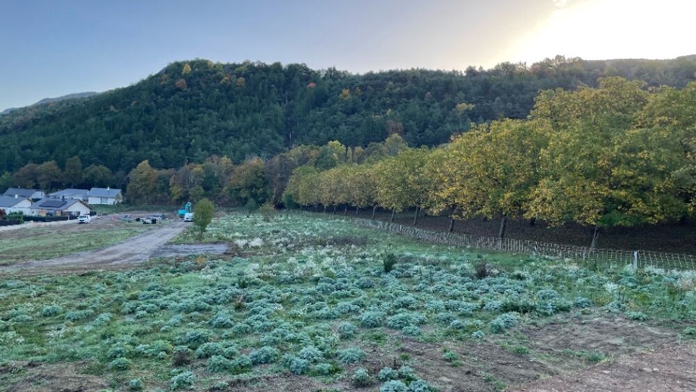 vente Terrain - 853 m² Saint-Étienne-le-Laus (05130)
