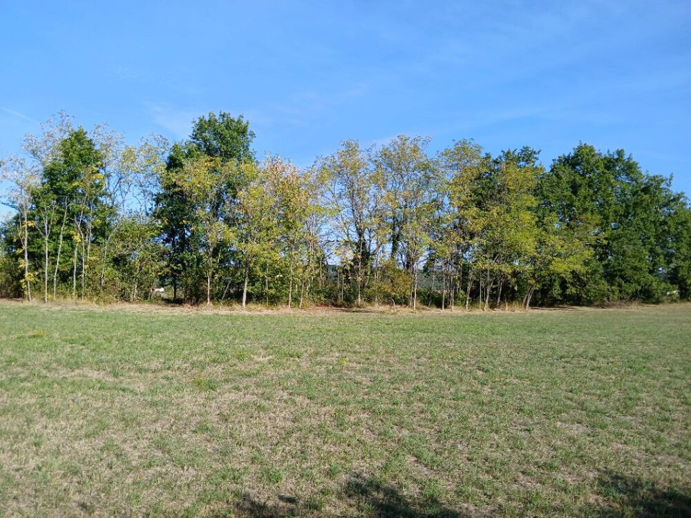 vente Terrain - 1900 m² Montagrier (24350)