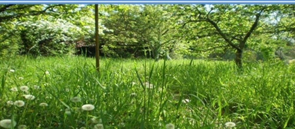 vente Terrain - 409 m² Saintry-sur-Seine (91250)