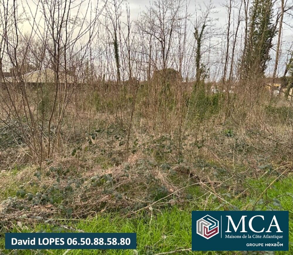 vente Terrain - 1200 m² Saint-Denis-de-Pile (33910)