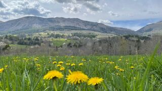  Terrain � vendre 907 m�