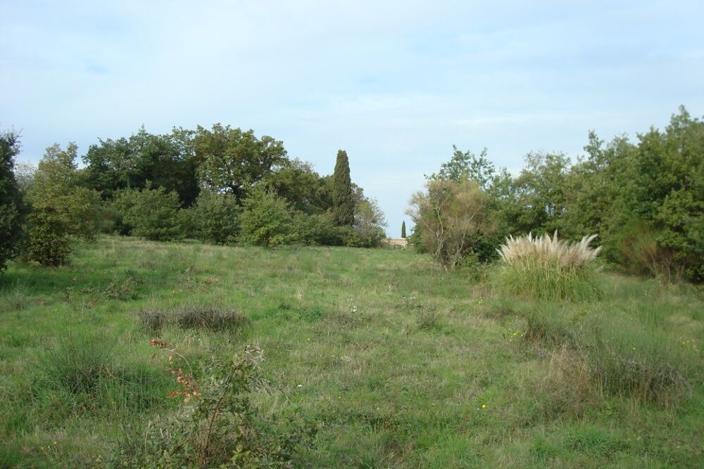 vente Maison - 5 pièce(s) - 82 m² Perpignan (66000)