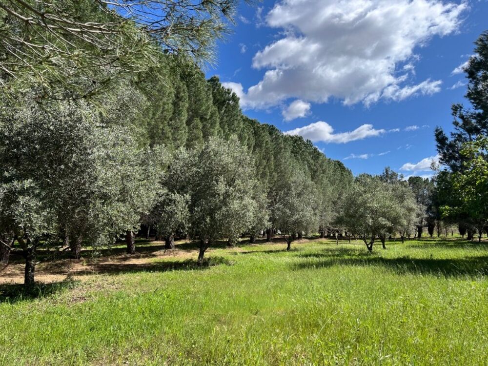 vente Terrain - 413 m² Lézignan-la-Cèbe (34120)