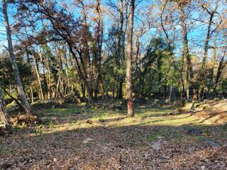  Maison 4 pi�ces 63 m� Camps-la-source