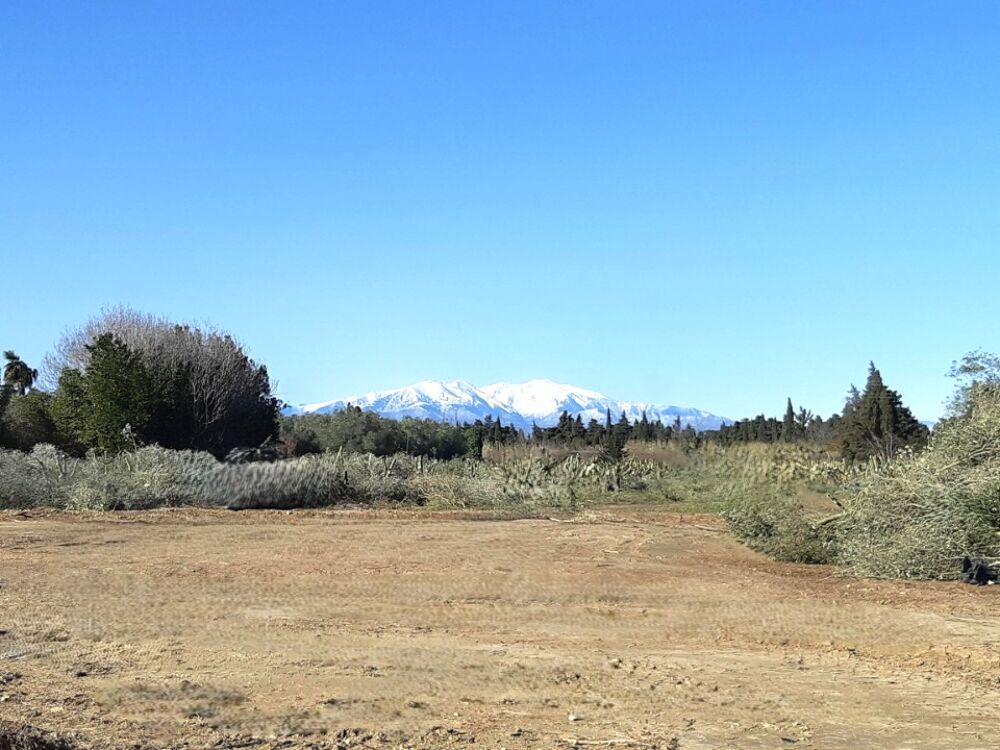 vente Terrain - 290 m² Elne (66200)