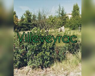  Terrain  vendre 306 m