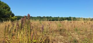  Terrain � vendre 462 m�