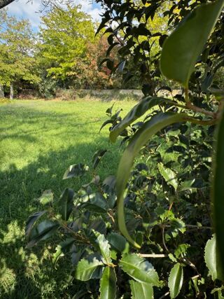  Terrain � vendre 587 m�