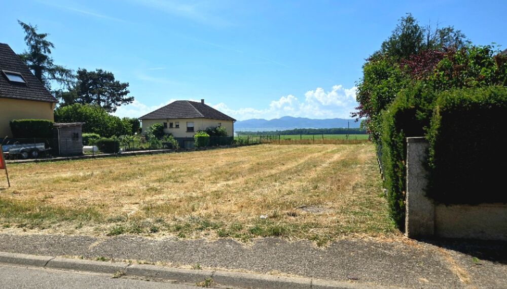 vente Maison - 4 pièce(s) - 101 m² Sundhoffen (68280)