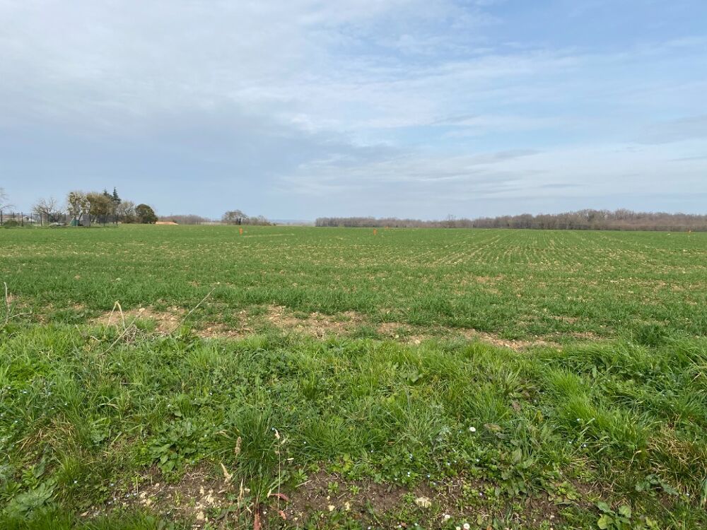 vente Terrain - 753 m² Plassay (17250)