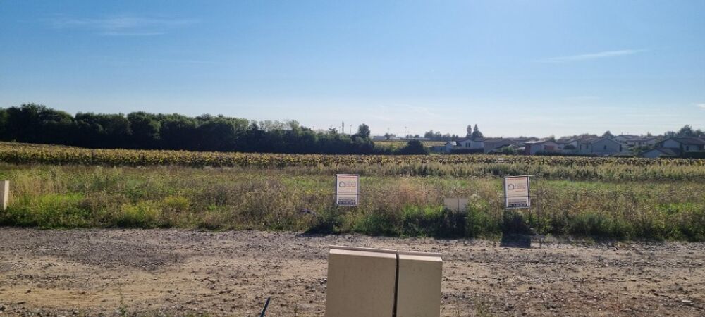 vente Terrain - 308 m² Montanay (69250)
