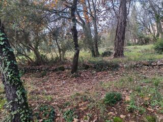  Terrain 1882 m� Lorgues