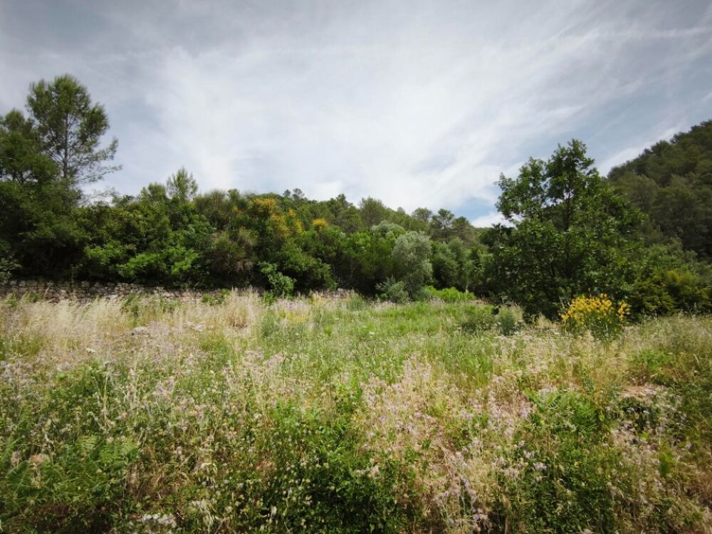 vente Terrain - 1017 m² Belgentier (83210)