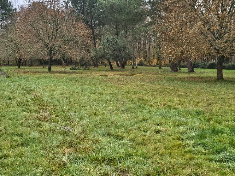 vente Terrain - 2520 m² Louchats (33125)