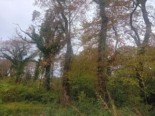  Maison  vendre 4 pices 118 m