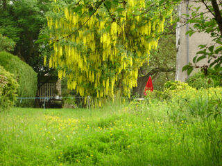  Terrain � vendre 449 m�