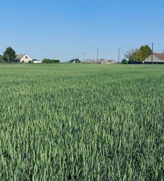  Terrain à vendre 401 m²
