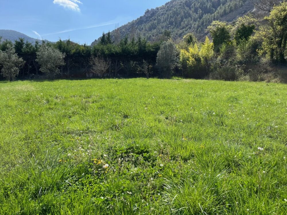 vente Terrain - 1231 m² Condorcet (26110)