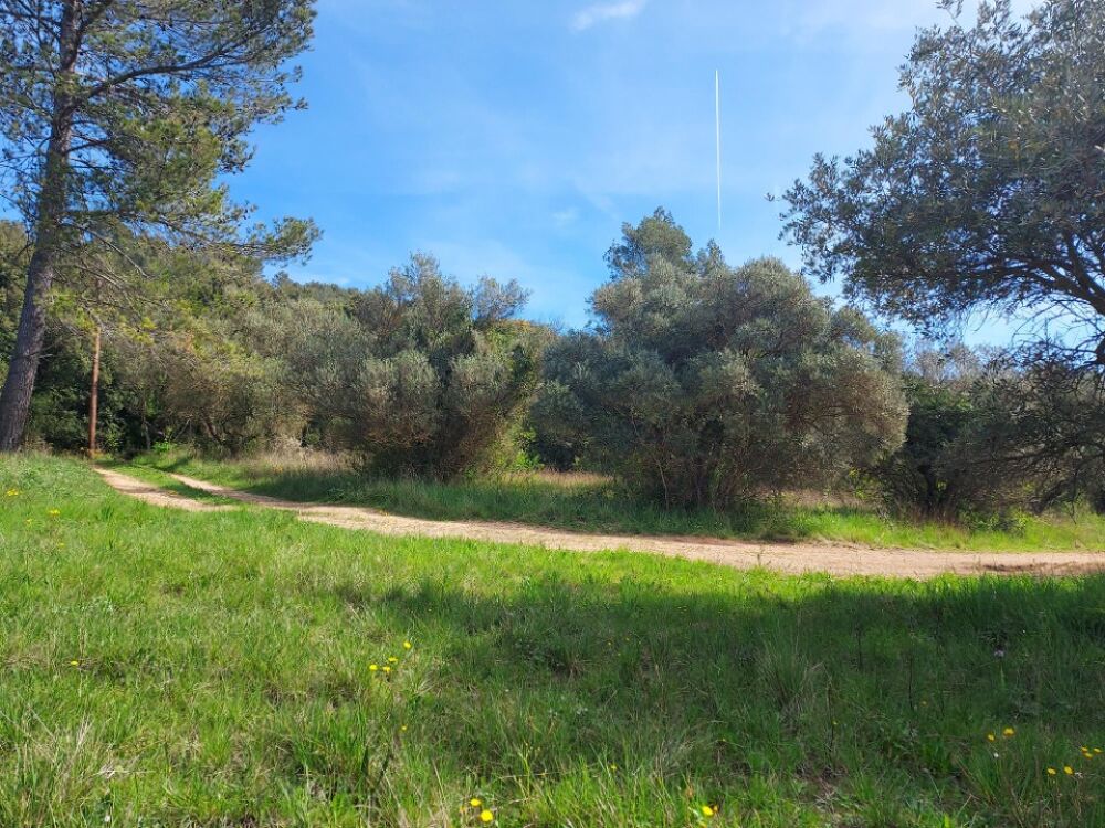 vente Maison - 5 pièce(s) - 100 m² Camps-la-Source (83170)