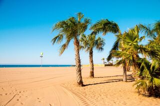  Terrain � vendre 316 m�