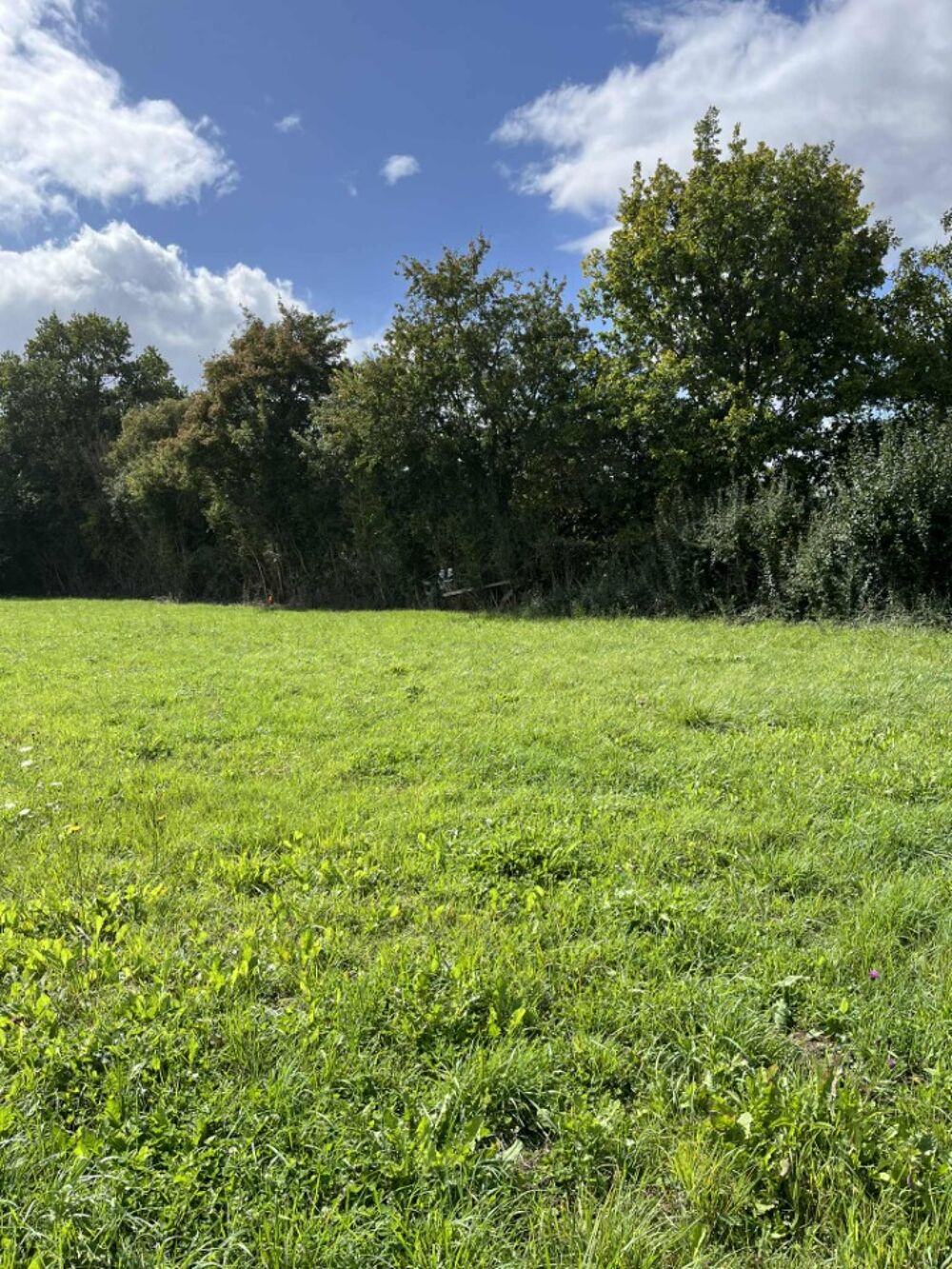 vente Terrain - 371 m² Le Chevain (72610)