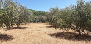  Maison � vendre 5 pi�ces 115 m�