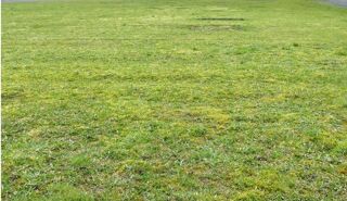  Maison � vendre 8 pi�ces 140 m�