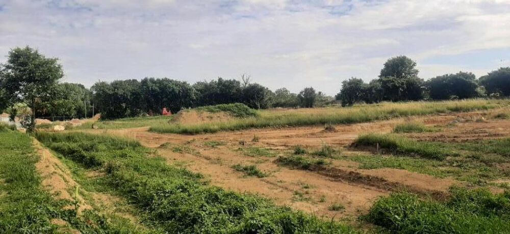 vente Terrain - 311 m² Sargé-lès-le-Mans (72190)