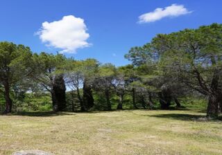  Maison 4 pi�ces 80 m� Villeneuve-les-corbi�res