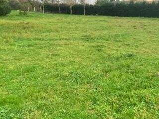  Terrain à vendre 475 m²