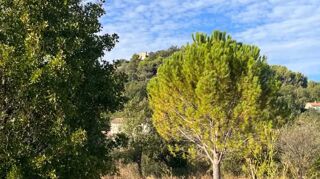  Terrain à vendre 310 m²