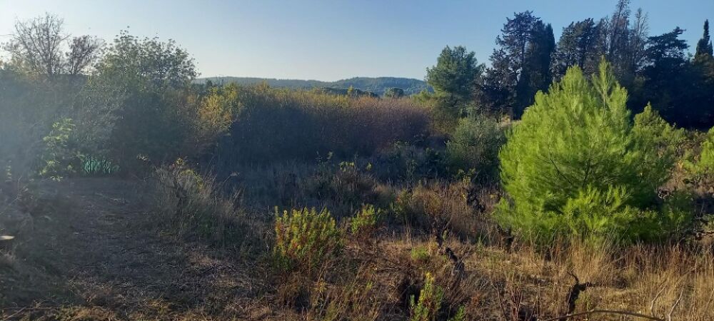 vente Terrain - 785 m² Argens-Minervois (11200)