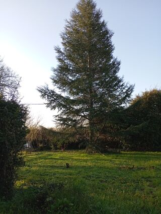  Terrain � vendre 1117 m�