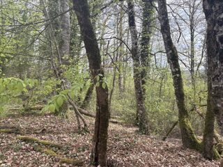  Maison 6 pièces 197 m² Notre-dame-de-sanilhac