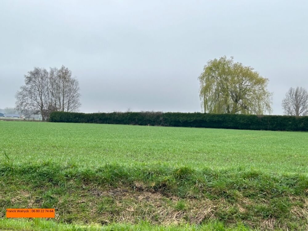vente Terrain - 700 m² Gonnehem (62920)