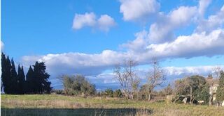  Terrain � vendre 790 m�