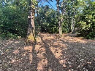  Terrain 1095 m Saint-czaire-sur-siagne