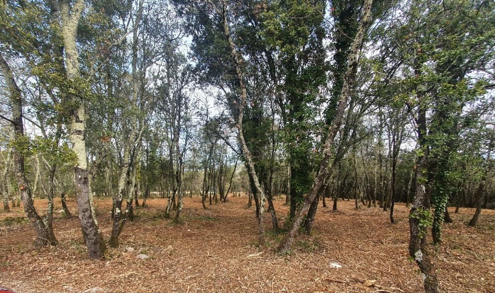 vente Terrain - 1338 m² Labastide-de-Virac (07150)