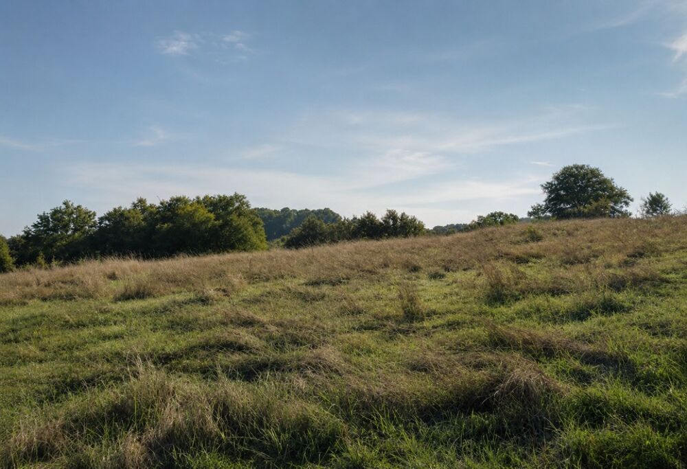 vente Maison - 4 pièce(s) - 90 m² Saint-Pierre-de-Chignac (24330)