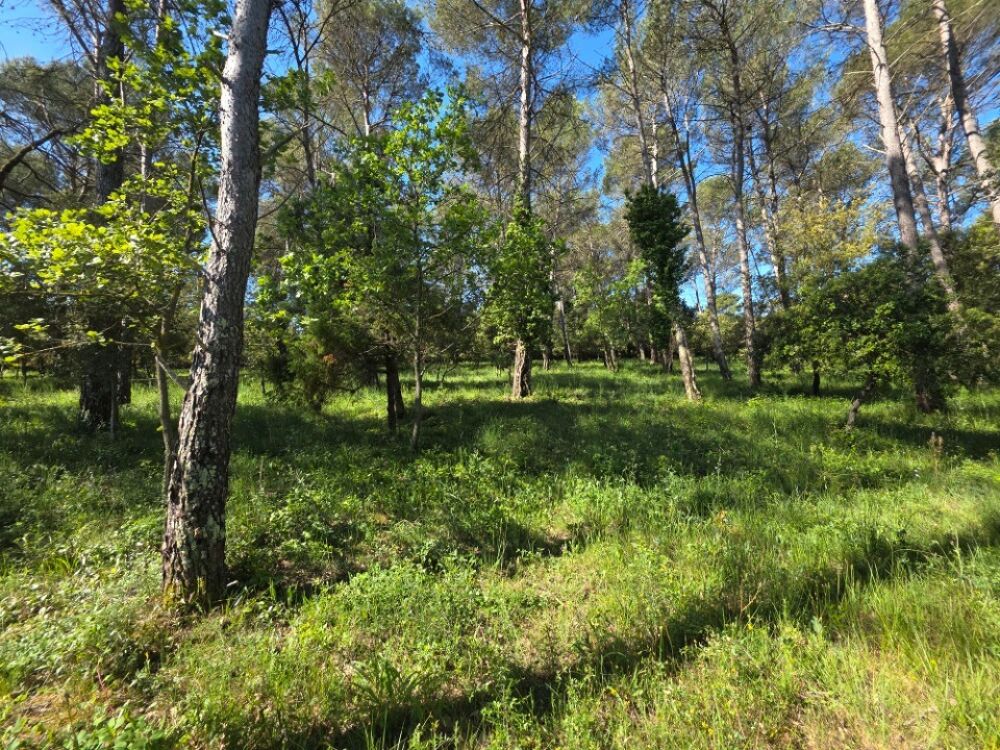 vente Terrain - 874 m² Garéoult (83136)