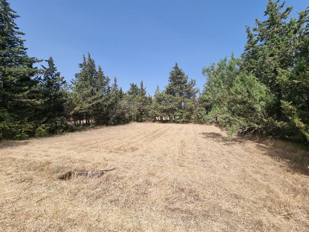 vente Terrain - 710 m² Grillon (84600)
